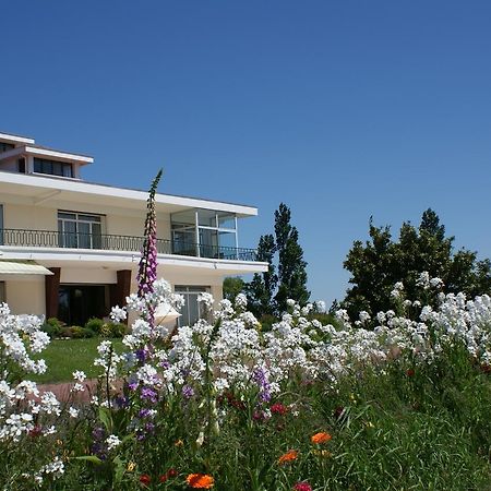 Villa Ayrault Châtillon-sur-Thouet Kültér fotó